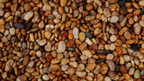stone back ground. pebbles on the beach