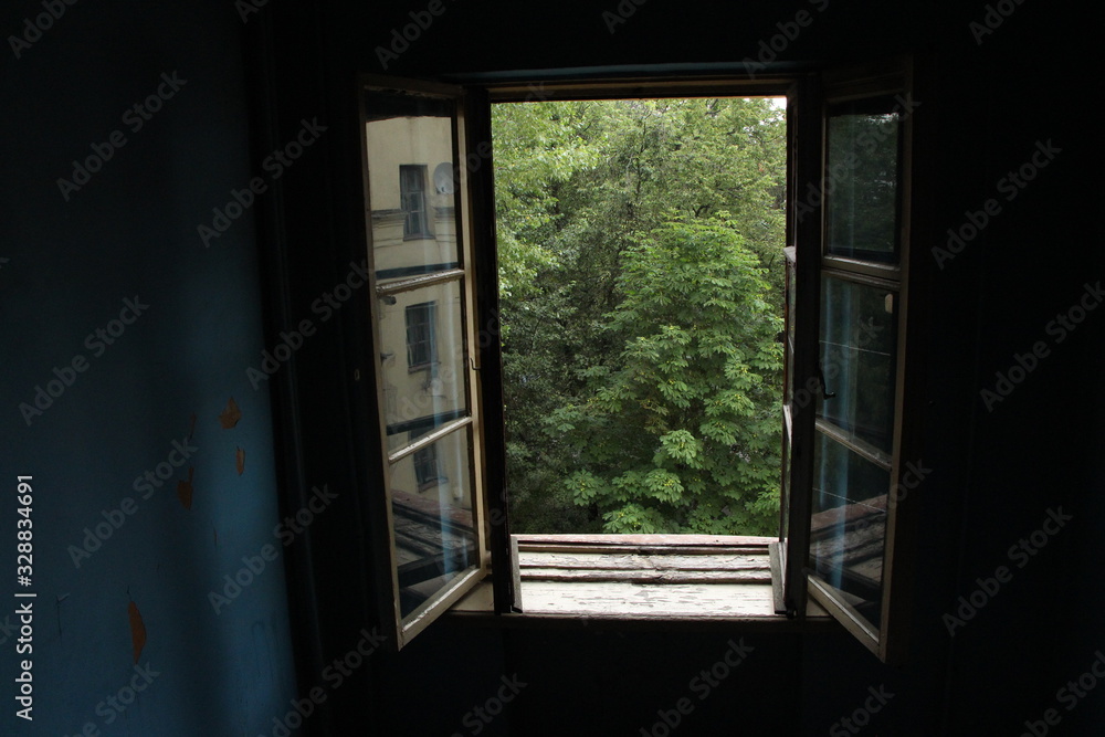Fototapeta premium view of a window
