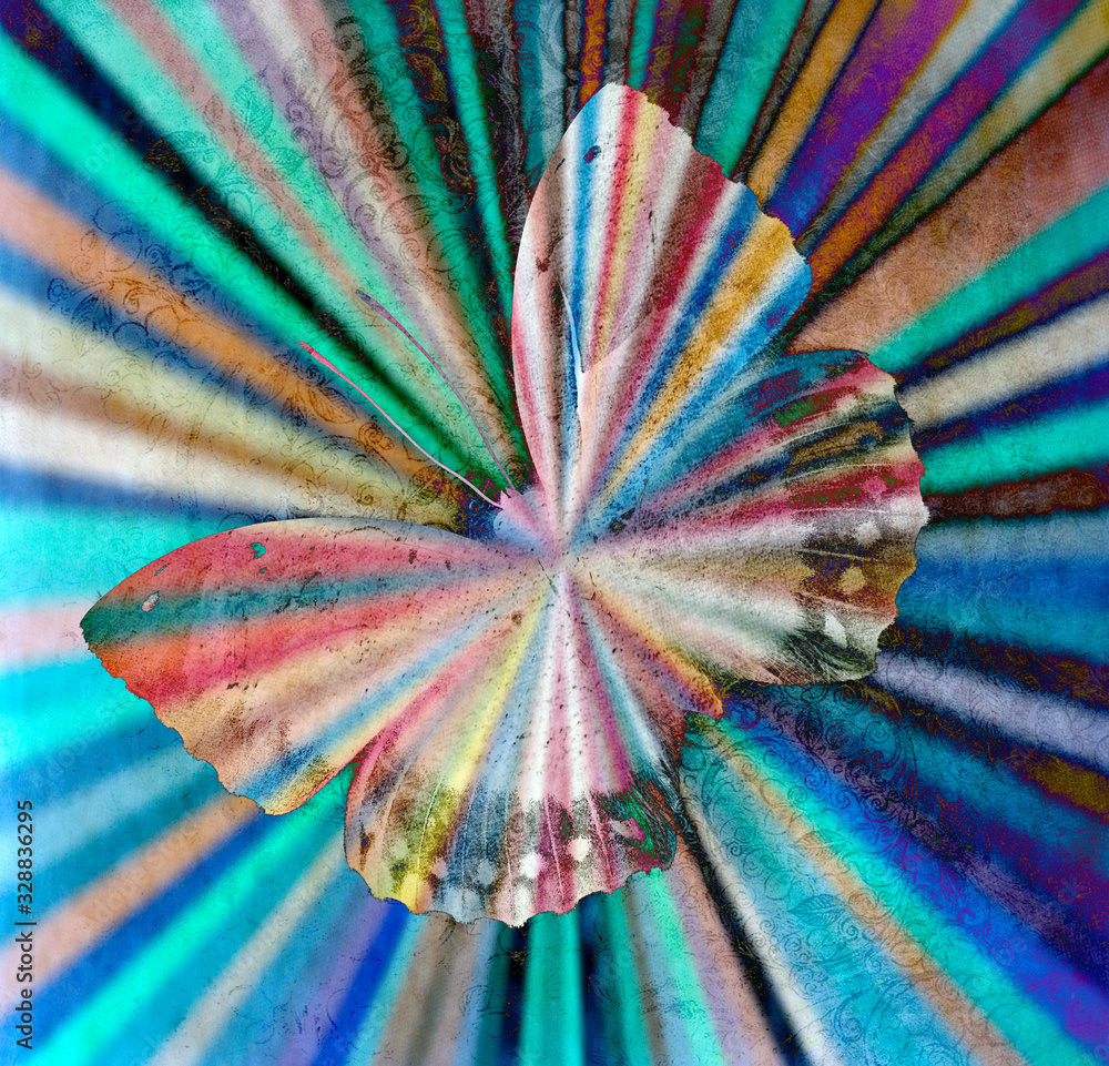 rainbow butterfly abstract