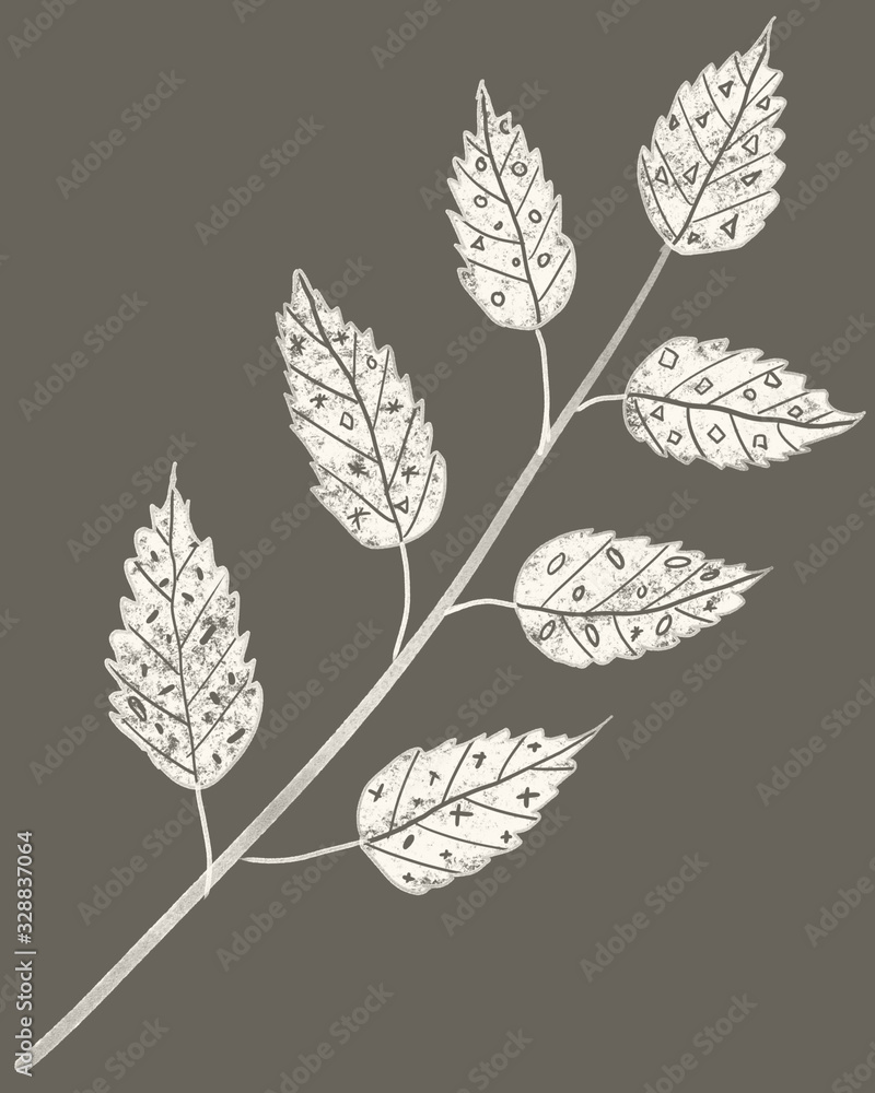 Ornamental style white graphic ethnic magic leaf isolated on dark grey background