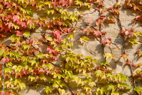 walking in the area aorund Hanover