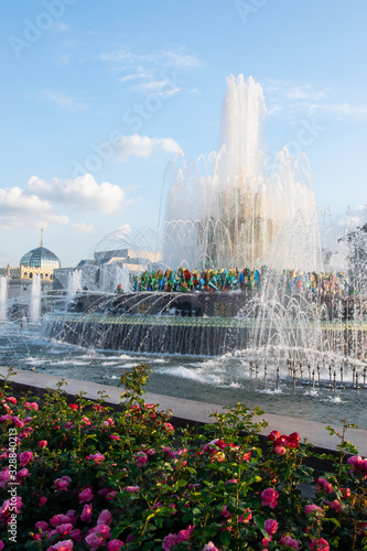 Flower blossom in the Moscow park