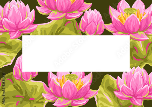 Background with lotus flowers. Water lily decorative illustration.