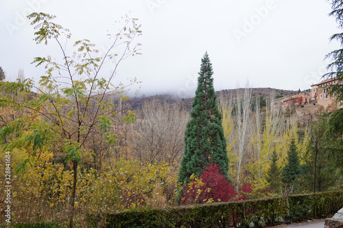 nature