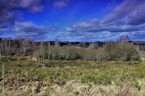 Lande de la Flotte et du Cluzeau (Haute-Vienne)