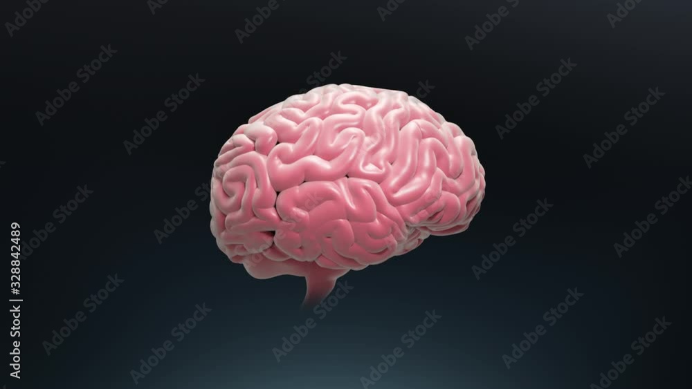 Isolated Artificial Brain Rotating Seamlessly with Luma Mask for Background Replacement Isolated Artificial Brain Rotating Seamlessly with Luma Mask for Background Replacement