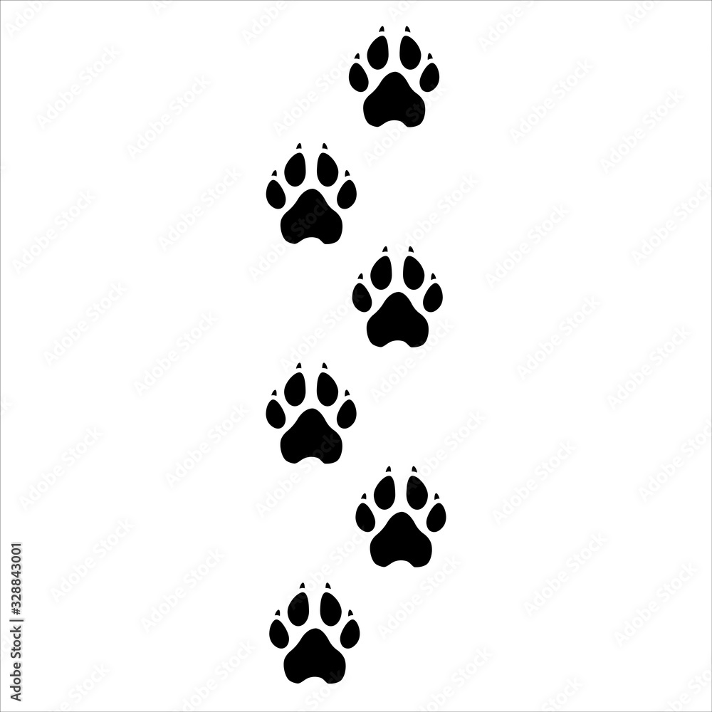 dog paw prints path foot marks dog paw prints path foot marks
