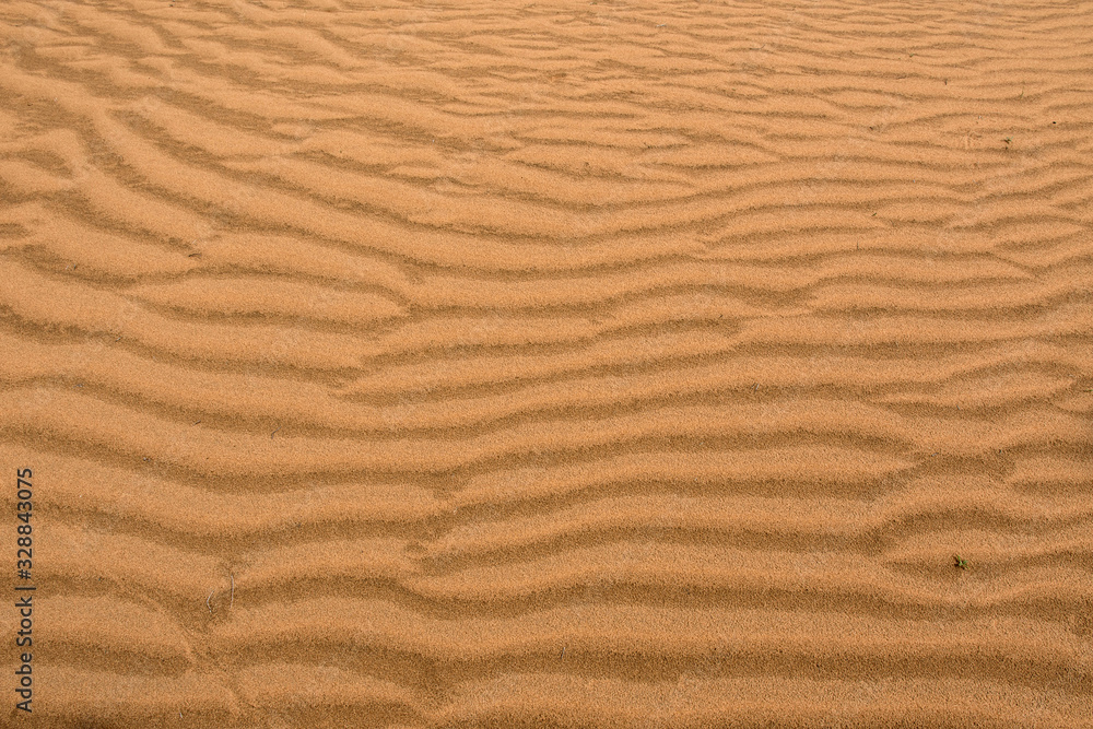Sand of Kyzylkum Desert. Uzbekistan, Central Asia. Sand of Kyzylkum Desert. Uzbekistan, Central Asia.