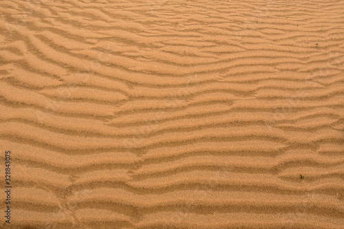Sand of Kyzylkum Desert. Uzbekistan, Central Asia.