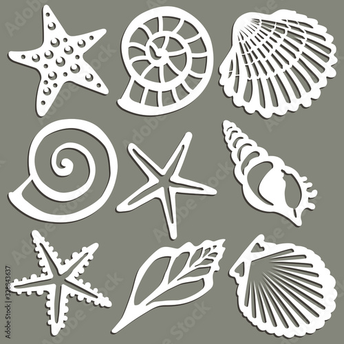 Set of seashell patterns. Vector illustration.