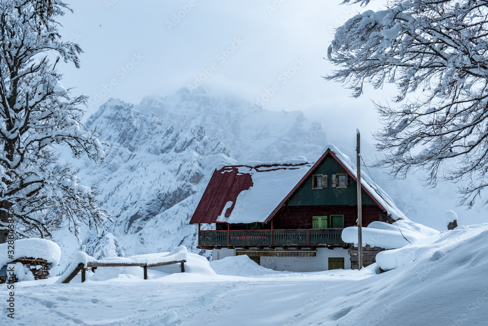 Trekking after a snowfall in the Julian Alps, Friuli-Venezia Giulia, Italy