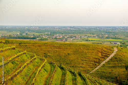 Evening storm in the vineyards