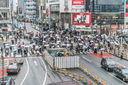雨の日の東京都渋谷区のスクランブル交差点  © zu_kuni