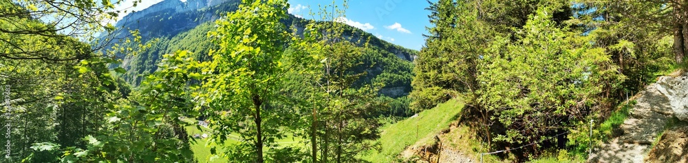 spring in the mountains