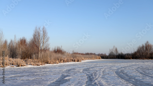 Beautiful winter landscape with dry grass on a swamp. © sergofan2015