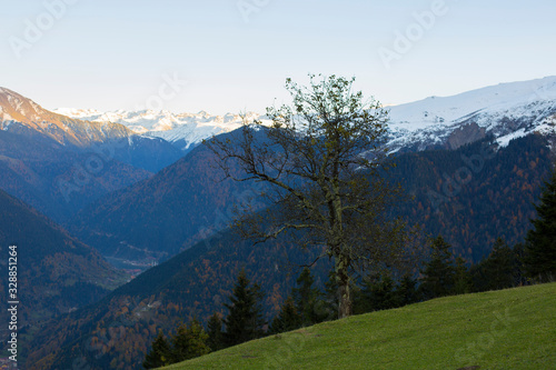 mountain landscape in the alps
