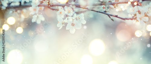 Spring Nature Easter art background with blossom. Beautiful nature scene with blooming flowers tree and sun flare. Sunny day. Spring flowers. Beautiful Orchard. Abstract blurred background. Springtime