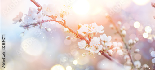 Spring Nature Easter art background with blossom. Beautiful nature scene with...