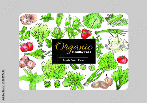 Packing template design. Vector illustration vegetables, water color style