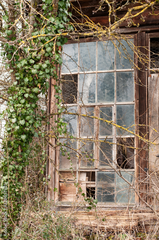 a damaged lattice window at an old hut