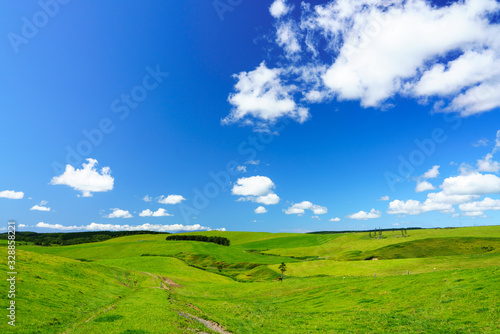 牧場の風景 photo