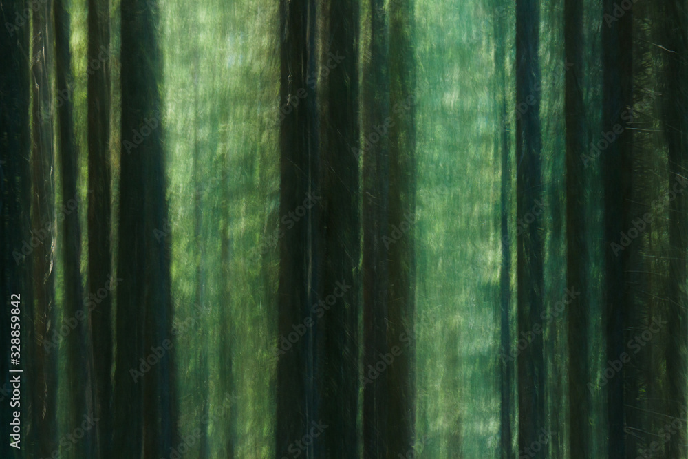 Plakat Abstract forest scenery in Austria(Camera motion blur)