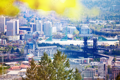 View on Steel Bridge from hill in Portland, from Macleay Park, Oregon, USA photo