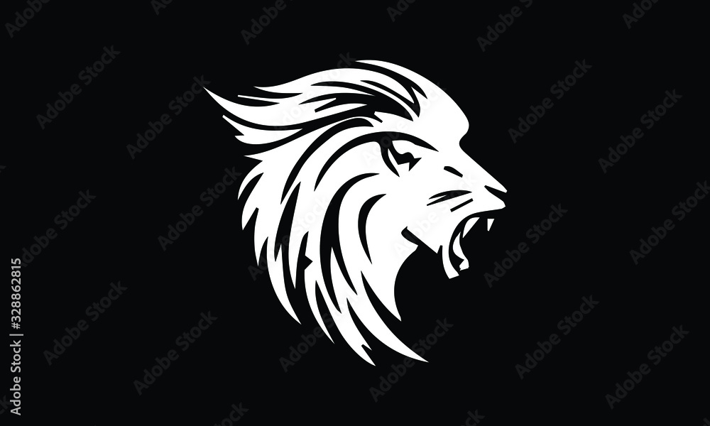 Fototapeta premium head of lion
