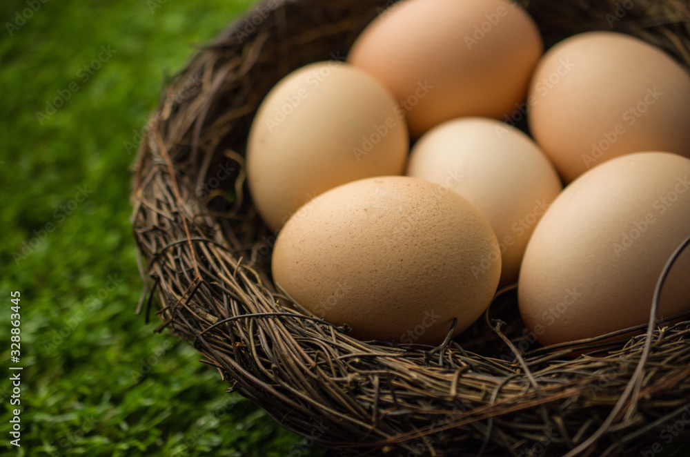 Organic easter eggs in nest on grass Organic easter eggs in nest on grass