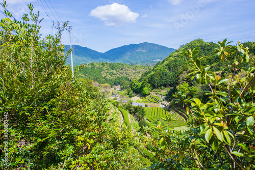 Landscape view of village in Japan photo