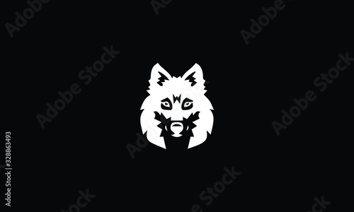 white wolf on black background