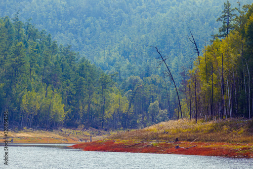 Beautiful landscape. Zeya reservoir, Amur region. A beautiful rocky shore with tall green trees goes into the calm blue waters of the reservoir. photo