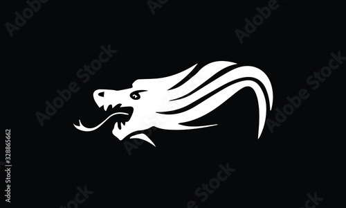 silhouette of a dragon in black and white