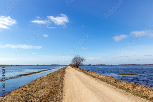 A rural landscape with a single tree and a road surrounded by water.