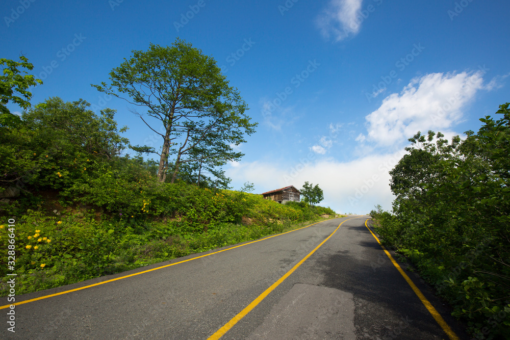 asphalt yellow lane mountain road and green landscape