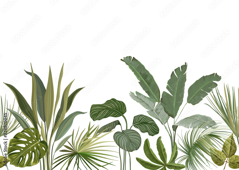 Seamless Tropical Floral Print with Exotic Green Jungle Leaves on White Background. Rainforest Plants Wallpaper Template, Nature Textile Ornament, Philodendron Monstera Flowers Vector Illustration