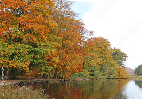 Reflections of Autumn colours in Derbyshire  England