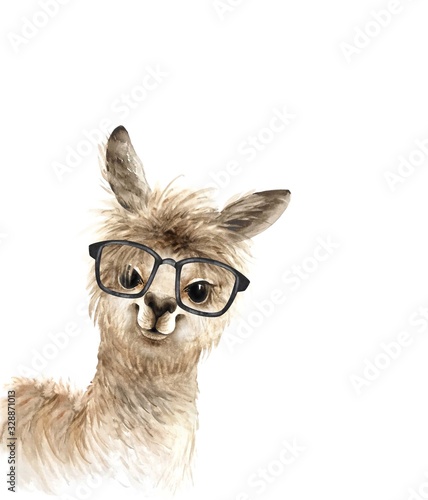 alpaca cute animal in black glasses, watercolor illustration on white background photo