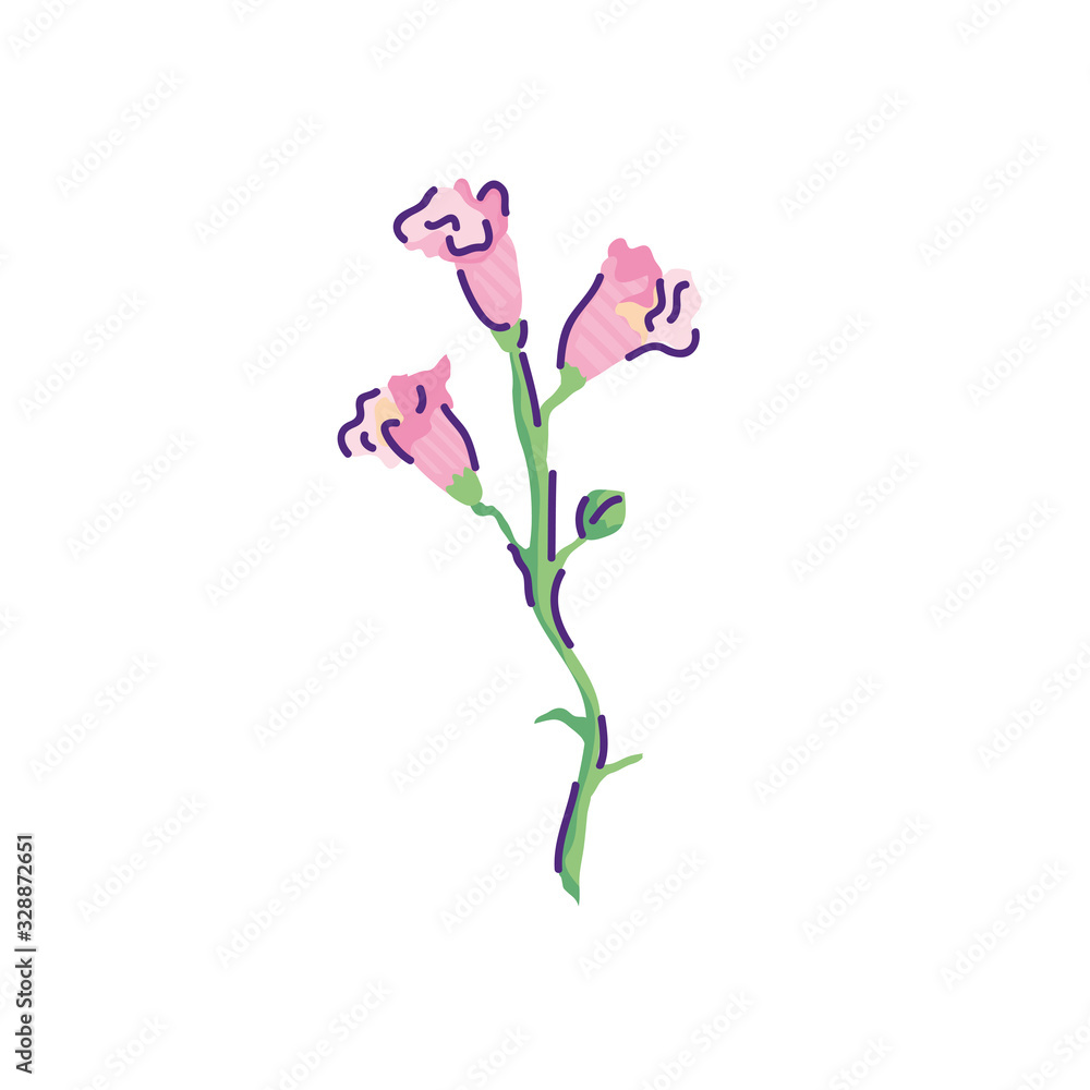cute orchids flowers nature isolated icon vector illustration design