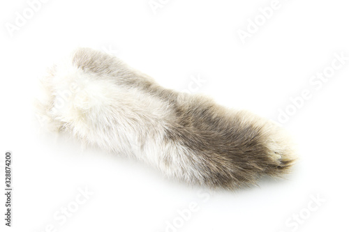 A real hare paw of gray-white color. Talisman for good luck. Rabbit hind paw on white isolated background. Symbol of wealth and prosperity © Sergei