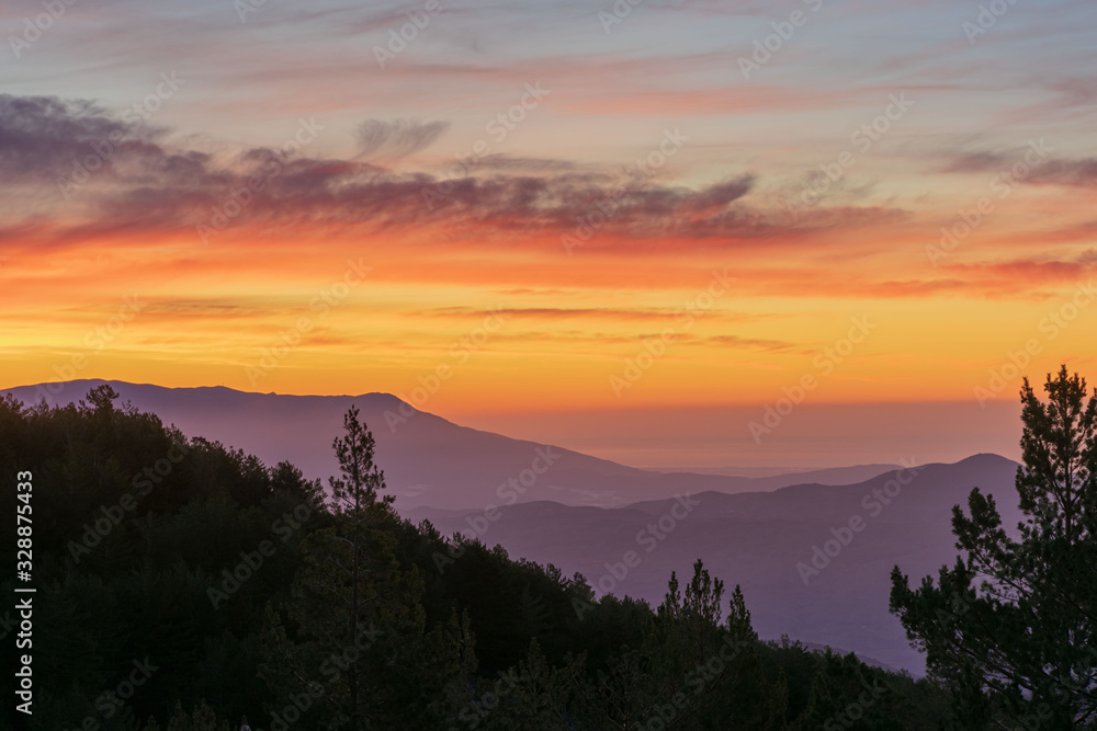 Landscape of mountains and pines at sunrise and seen from the heights