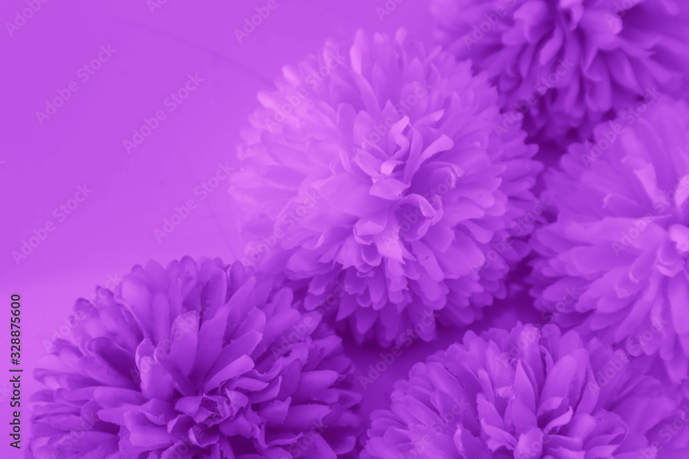 Beautiful abstract color blue and purple flowers on white background and blue flower frame and pink leaves texture, light purple background, colorful banner happy valentine Beautiful abstract color blue and purple flowers on white background and blue flower frame and pink leaves texture, light purple background, colorful banner happy valentine