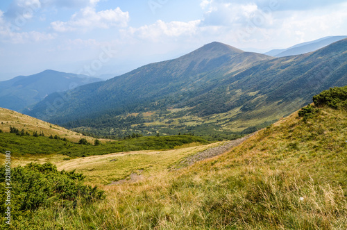 Primeval beech forests of carpathian mountains. beautiful late summer landscape in afternoon. svydovets ridge in the distance. weathered grass on hills and meadows 