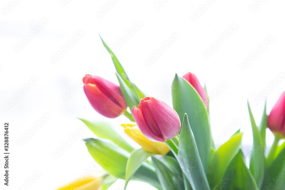 Bouquet of tulips on a white background. Flower shop. Bouquet of tulips on a white background. Flower shop.