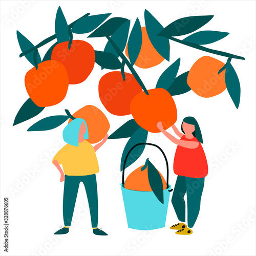 Women picking oranges vector illustration. Harvesting concept. Agritourism concept. Pick-your-own concept. Fresh fruit concept. Hand drawn illustration in abstract flat style