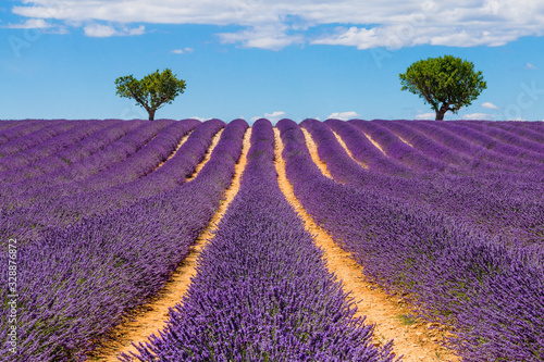 Provence, France.