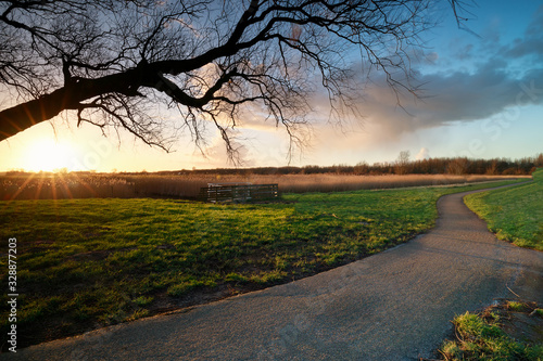 evening sunshine over bike path photo