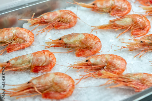 Wallpaper Mural Boiled sea prawns lie on ice. Shrimps are beautifully laid Torontodigital.ca