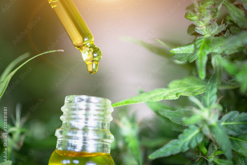 Hemp oil drops details, herb, medicine, drip, bio-medicine and ecologycbd oil from medical extraction Hemp oil drops details, herb, medicine, drip, bio-medicine and ecologycbd oil from medical extraction