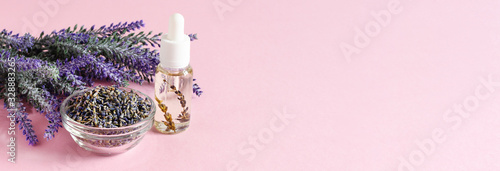 Bunch of lavender flowers, dried lavender and aromatic lavender oil on pink background.